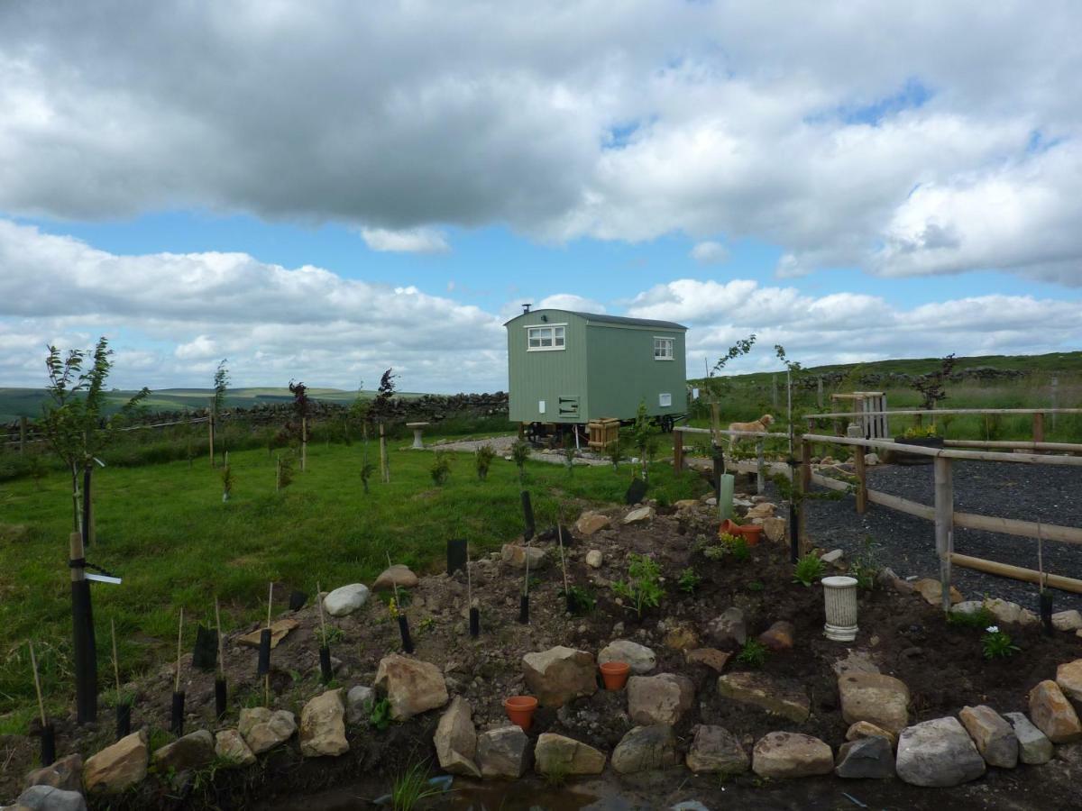 The Buteland Stop Rosie Off Grid Shepherds Hut Bellingham Exterior photo
